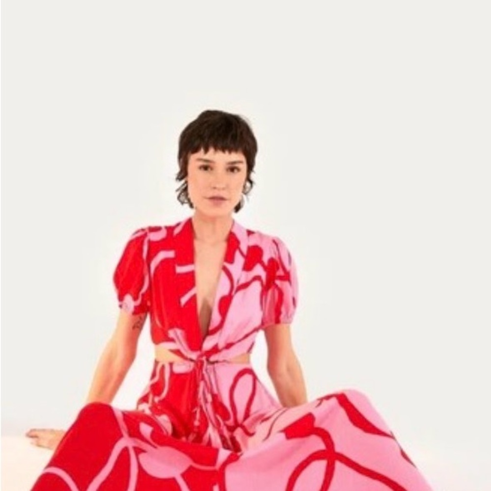 FARM Rio Red and Pink cashews Patterned Dress - Picture 9 of 10